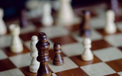 Building a PMO in a dynamic environment is a challenging but rewarding endeavor